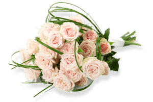 Wedding Planners / Wedding Management in Kolkata, Mumbai, Delhi, India, Singapore, Malaysia - 4