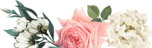 Wedding Planners / Wedding Management in Kolkata, Mumbai, Delhi, India, Singapore, Malaysia - 3