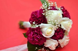 Chandra Lynn Dagley Photography - 9