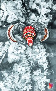 New Anthems Photography - 4